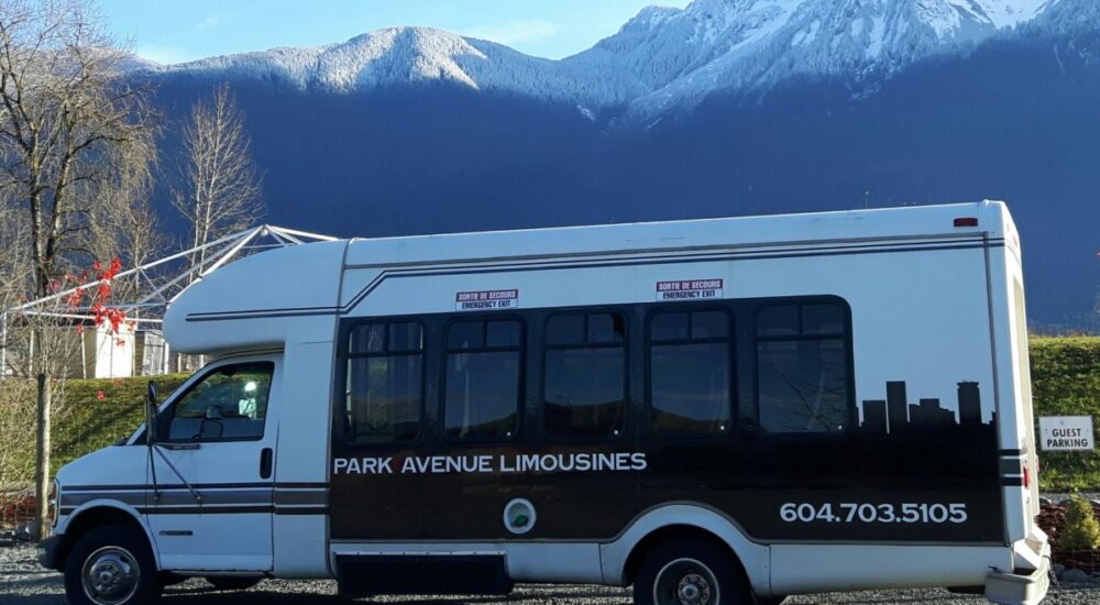 20181201_133935-1-1 20181201_133935-1-1